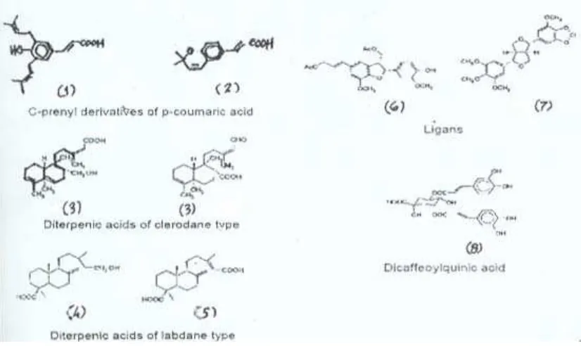 Gambar 1, Struktur kimia senyawa di dalam fraksi propolis (Pendekatan).  1). 3,5-diprenyl-4-hydroxy-cinnamic acid; 2)