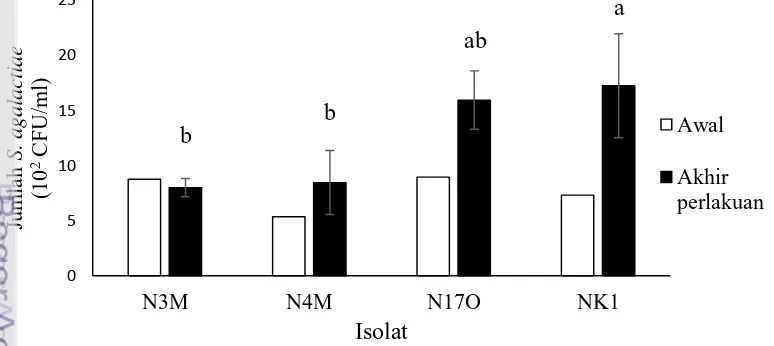 Gambar 3 Jumlah S. agalactiae isolat N3M, N4M, N17O dan NK1 dalam darah ikan 
