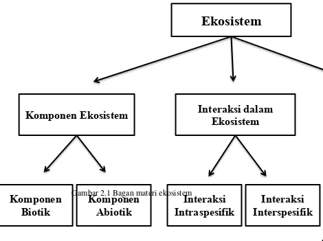 Gambar 2.1 Bagan materi ekosistem Komponen Interaksi 