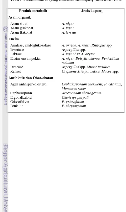 Tabel 3. Produk metabolit yang dihasilkan oleh kapang (Landecker, 1996) 