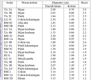 Tabel 4. Hasil penapisan isolat kapang 