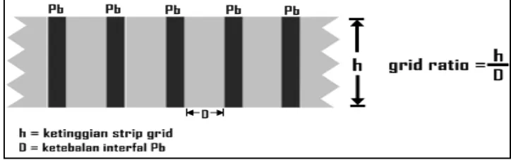 Gambar 2.10 Rasio Grid (Bushberg, 2001) 