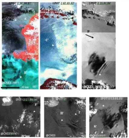Figure 6. (a) A fragment (180 km x 60 km) of an SPOT 2 image showing circular- internal wave 