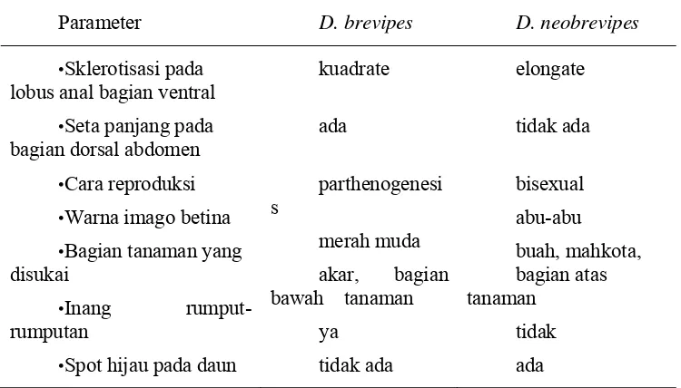 Tabel 2.1. Perbedaan biologi dan morfologi D. brevipes dan D. neobrevipes  