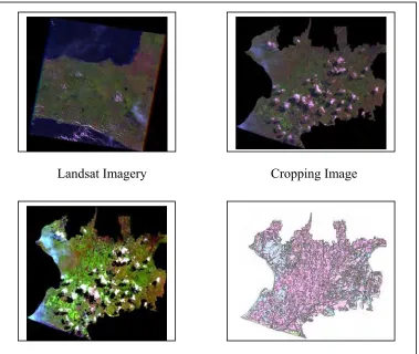 Figure 3.3.  Description of Image Processing 