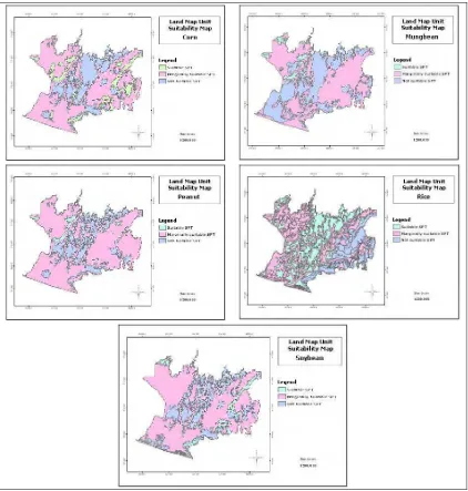 Figure 4.3.  Suitability map of Land Map Unit for each crop 