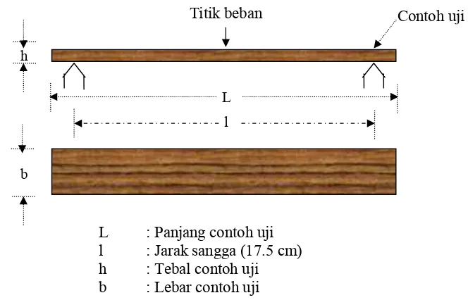 Gambar 13  Pengujian modulus patah (MOR) dan modulus elastisitas (MOE) 