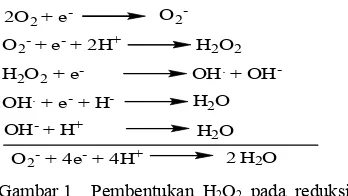 Gambar 1 Pembentukan H2O2 pada reduksi O  menjadi HO (Siregar 1992) 