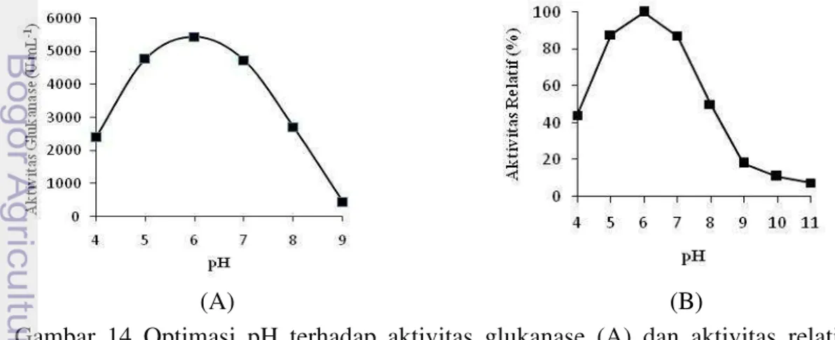 Gambar  14  Optimasi  pH  terhadap  aktivitas  glukanase  (A)  dan  aktivitas  relatif  enzim (B) 