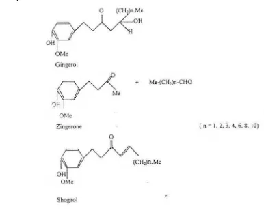 Gambar 1. Struktur kimia gingerol, zingerone, dan shagaol 