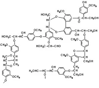 Gambar 1 Struktur tiga jenis monolignol  
