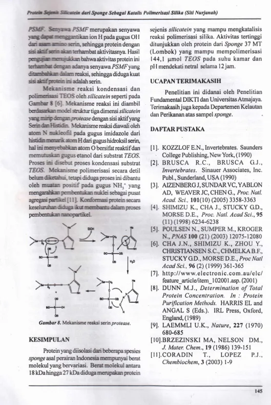 Gambar 8. Mekanisme reak.si seTin protease. 