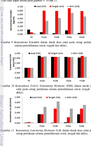 Gambar 11  Konsentrasi  Luteinizing Hormone (LH) dalam darah ikan sidat pada setiap perlakuan selama pemeliharaan (awal, tengah dan akhir)