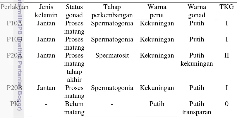 Tabel 6  Status kelamin dan ciri-ciri ikan Sidat hasil induksi hormonal setiap 