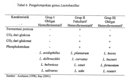 Tabel 6. Pengelompokan genus Lactobacillus