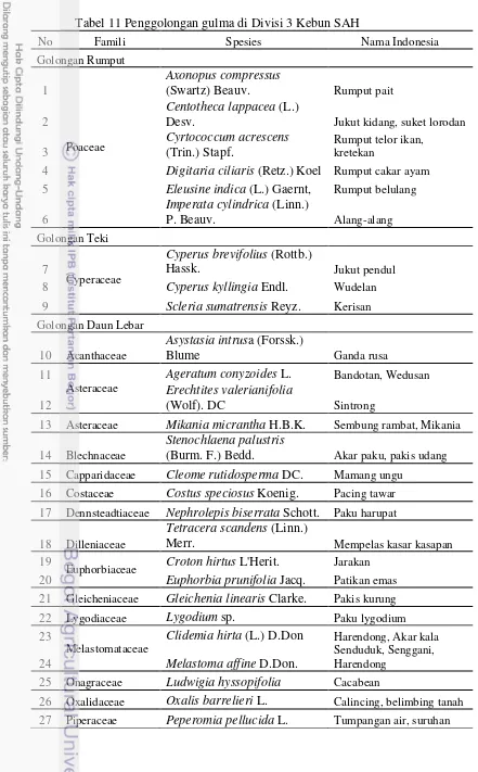 Tabel 11 Penggolongan gulma di Divisi 3 Kebun SAH 