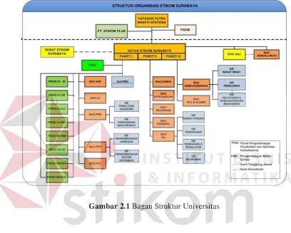Gambar 2.1 Bagan Struktur Universitas 