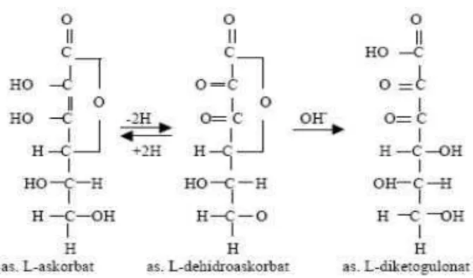 Gambar 4. Mekanisme oksidasi asam askorbat (Winarno, 1984).