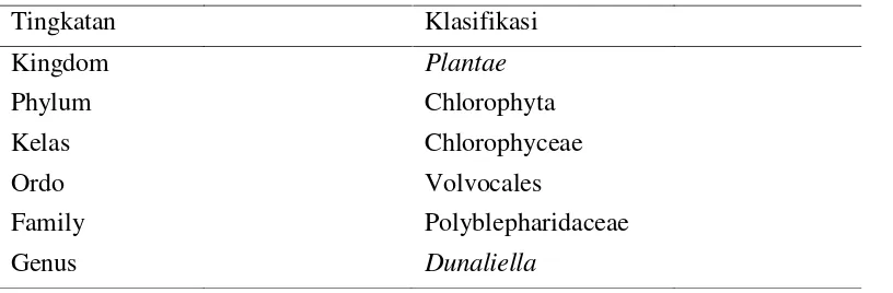 Gambar 6 merupakakan Dunaliella sp. serta bagian-bagian selnya ya yang terdiri dari