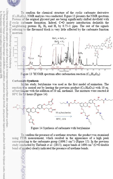 Figure 13 1H NMR spectrum after carbonation reaction (C31H30O18) 