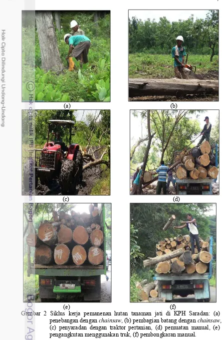 Gambar 2 Siklus kerja pemanenan hutan tanaman jati di KPH Saradan: (a) 