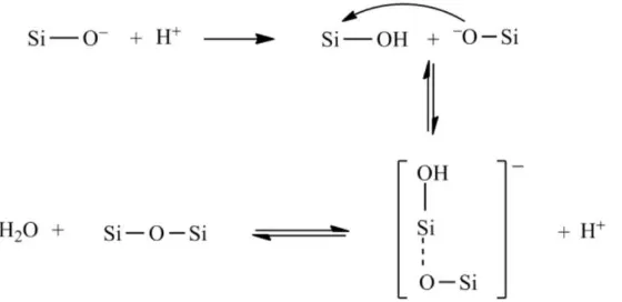 Gambar 11. Mekanisme reaksi pembentukan ikatan siloksan pada  proses pembentukan jaringan gel 
