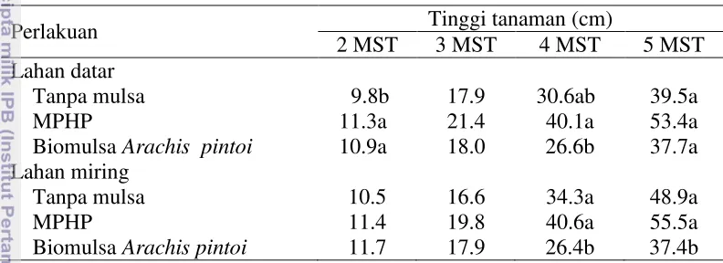 Tabel 7 Pengaruh perlakuan jenis mulsa terhadap tinggi tanaman buncis tegak 