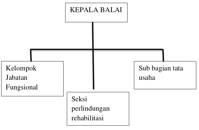 Gambar 2. Struktur Organisasi Balai RSBKL Yogyakarta  