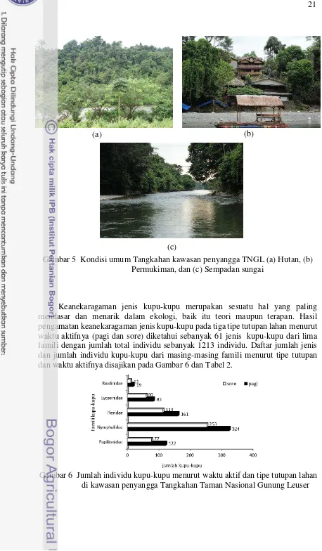 Gambar 5  Kondisi umum Tangkahan kawasan penyangga TNGL (a) Hutan, (b)  
