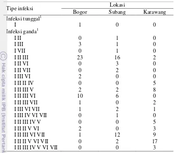 Gambar 2 Amplifikasi DNA PRSV (a), Polerovirus (b), dan Begomovirus (c). 