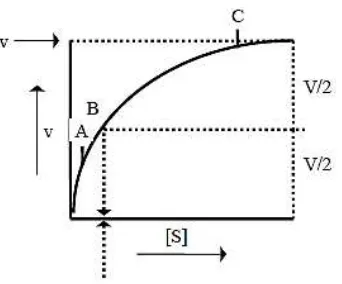 Gambar 7. Kurva Hubungan antara Konsentrasi Substrat dengan Kecepatan 