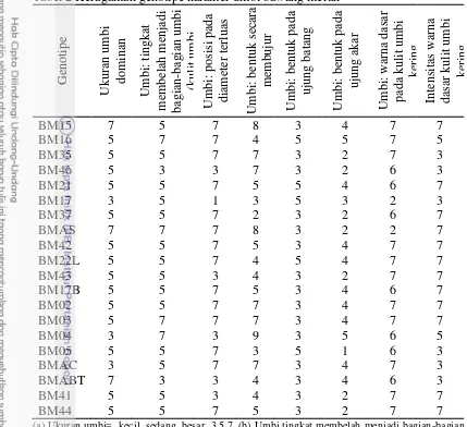 Tabel 2 Keragaman genotipe karakter umbi bawang merah Umbi: bentuk secara 