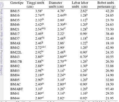 Tabel 5 Nilai pengamatan tinggi umbi, diameter umbi, lebar leher umbi 