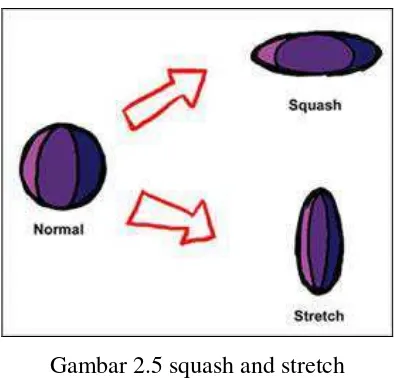 Gambar 2.5 squash and stretch 
