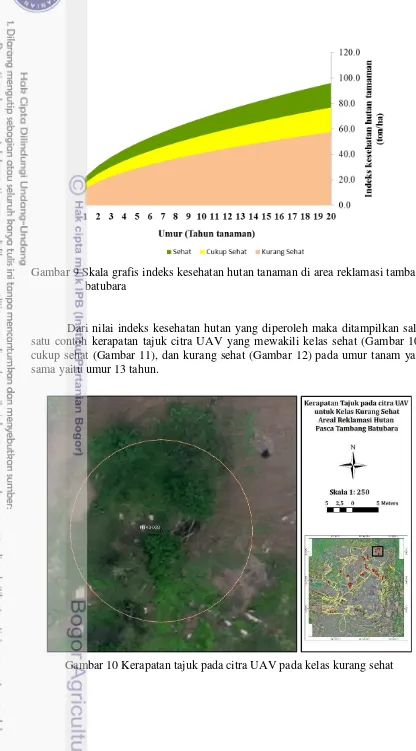 Gambar 9 Skala grafis indeks kesehatan hutan tanaman di area reklamasi tambang 