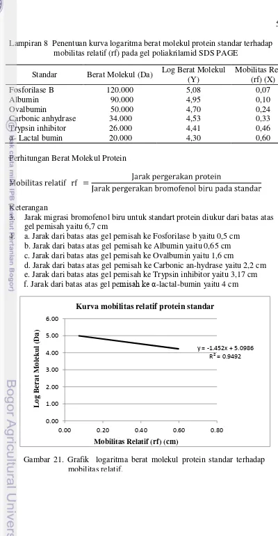 Gambar 21. Grafik  logaritma berat molekul protein standar terhadap 