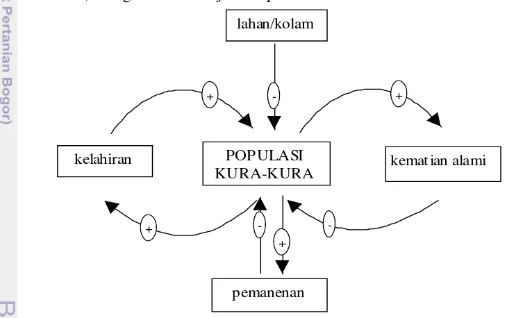 Gambar 4  Diagram hubungan sebab akibat (causal loop) antara variabel 