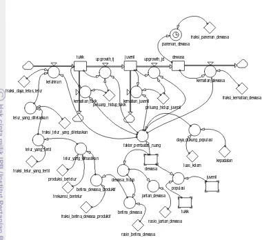 Gambar 6  Diagram alir model sistem dinamik penangkaran labi-labi  