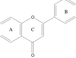 Gambar 9 Struktur dasar flavonoid (OCotelle 2001).