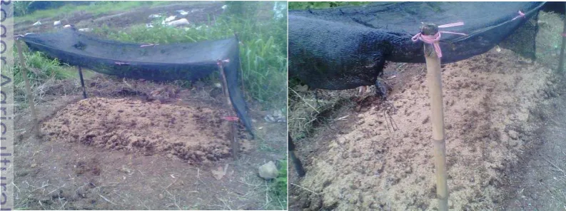 Gambar 3 Bentuk tempat pembibitan 