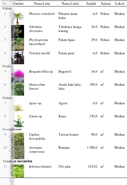 Tabel 12  Vegetasi eksisting di median Tol Jagorawi 