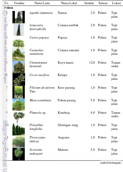 Tabel 13  Vegetasi eksisting di jalur hijau Jalan Bina Marga 