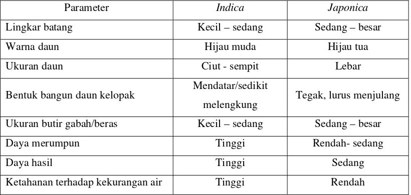 Tabel 1. Perbandingan golongan Indica dan Japonica  