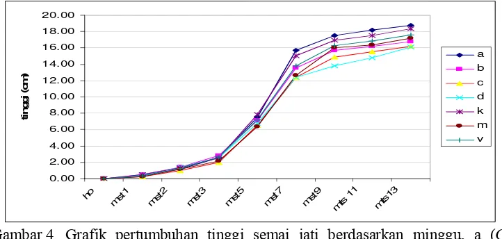 Gambar 4 Grafik pertumbuhan tinggi semai jati berdasarkan minggu, a ( G. etunicatum 13,5 g dan vermikompos 1,5 g), b (G