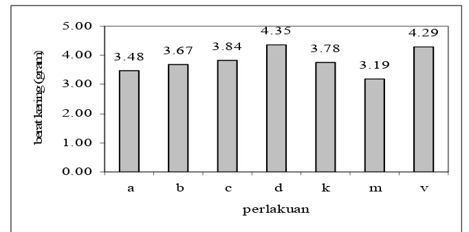 Gambar 7 Grafik berat kering akar semai jati setelah 13 minggu setelah tanam, a  (G. etunicatum dengan vermikompos 10 %), b (G