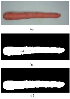 Gambar 13. Operasi thresholding dan perbaikan citra (a) citra wortel, (b) hasil  