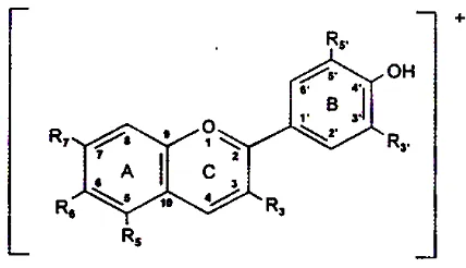 Gambar 2. Struktur dasar kation flavilium (Jackman dan Smith, 1996) 