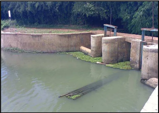 Gambar 9. Kondisi Check Dam yang Tidak Terawat  