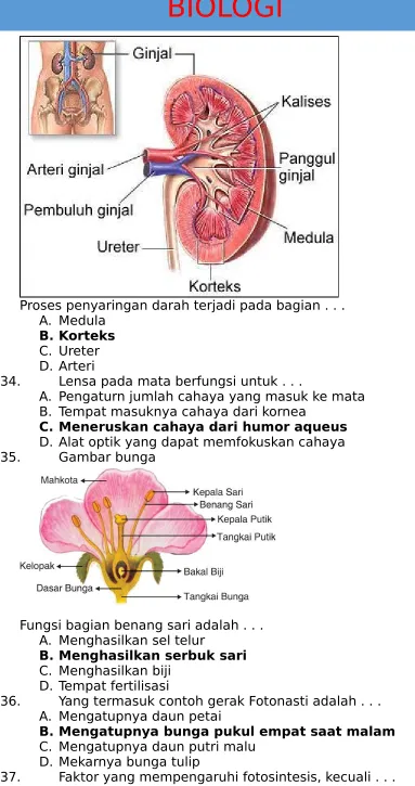 Gambar bunga