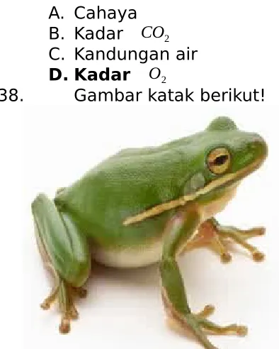 Gambar katak berikut!